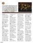 Page: - 88 | High Times