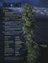 Page: - 4 | High Times