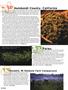 Page: - 56 | High Times
