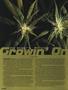 Page: - 64 | High Times