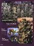 Page: - 86 | High Times