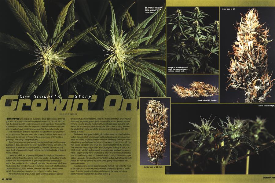 Growin' On