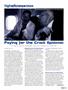 Page: - 21 | High Times