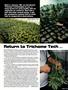 Page: - 53 | High Times