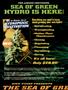 Page: - 54 | High Times