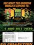 Page: - 55 | High Times
