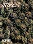 Page: - 58 | High Times