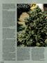 Page: - 60 | High Times