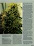 Page: - 61 | High Times