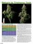 Page: - 66 | High Times