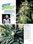 Page: - 84 | High Times