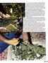 Page: - 89 | High Times