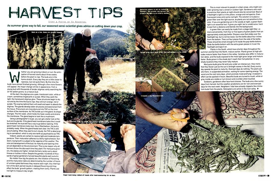 HARVEST TIPS