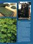 Page: - 111 | High Times