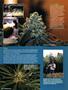 Page: - 114 | High Times