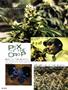 Page: - 116 | High Times