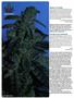 Page: - 126 | High Times
