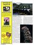 Page: - 138 | High Times