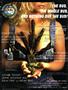 Page: - 35 | High Times