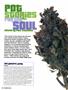 Page: - 48 | High Times