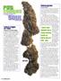 Page: - 52 | High Times
