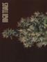 Page: - 66 | High Times