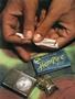 Page: - 70 | High Times