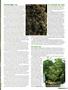 Page: - 75 | High Times