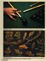 Page: - 86 | High Times
