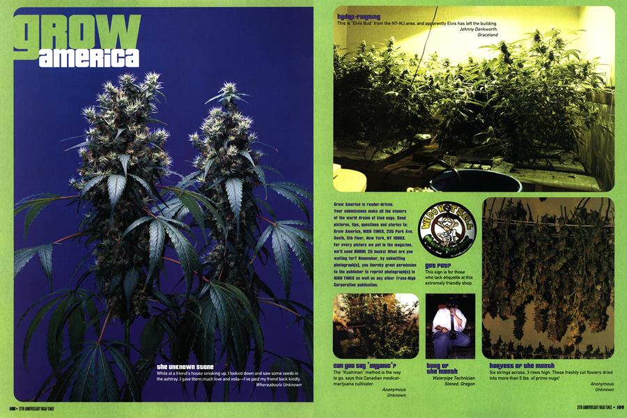 GROW AMERICA