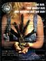 Page: - 19 | High Times
