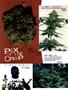 Page: - 86 | High Times