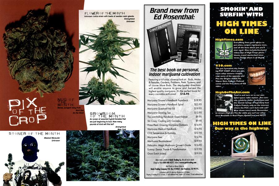 PIX OF THE CROP