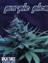 Page: - 58 | High Times