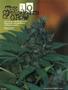 Page: - 64 | High Times