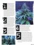 Page: - 65 | High Times