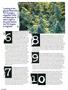 Page: - 66 | High Times