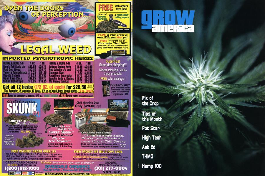GROW AMERICA