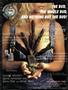 Page: - 13 | High Times