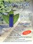 Page: - 31 | High Times