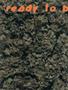 Page: - 58 | High Times