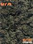 Page: - 59 | High Times