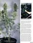 Page: - 65 | High Times