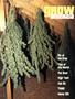Page: - 89 | High Times