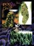 Page: - 92 | High Times