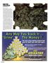 Page: - 94 | High Times