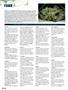 Page: - 98 | High Times