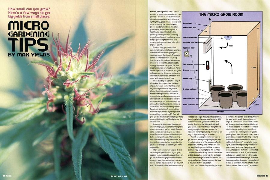MICRO GARDENING TIPS