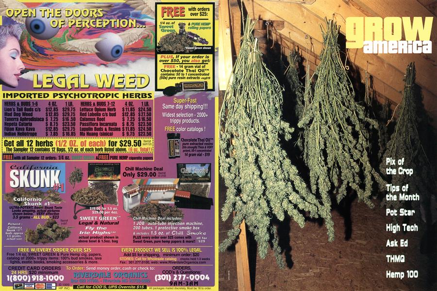 GROW AMERICA