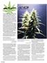 Page: - 110 | High Times